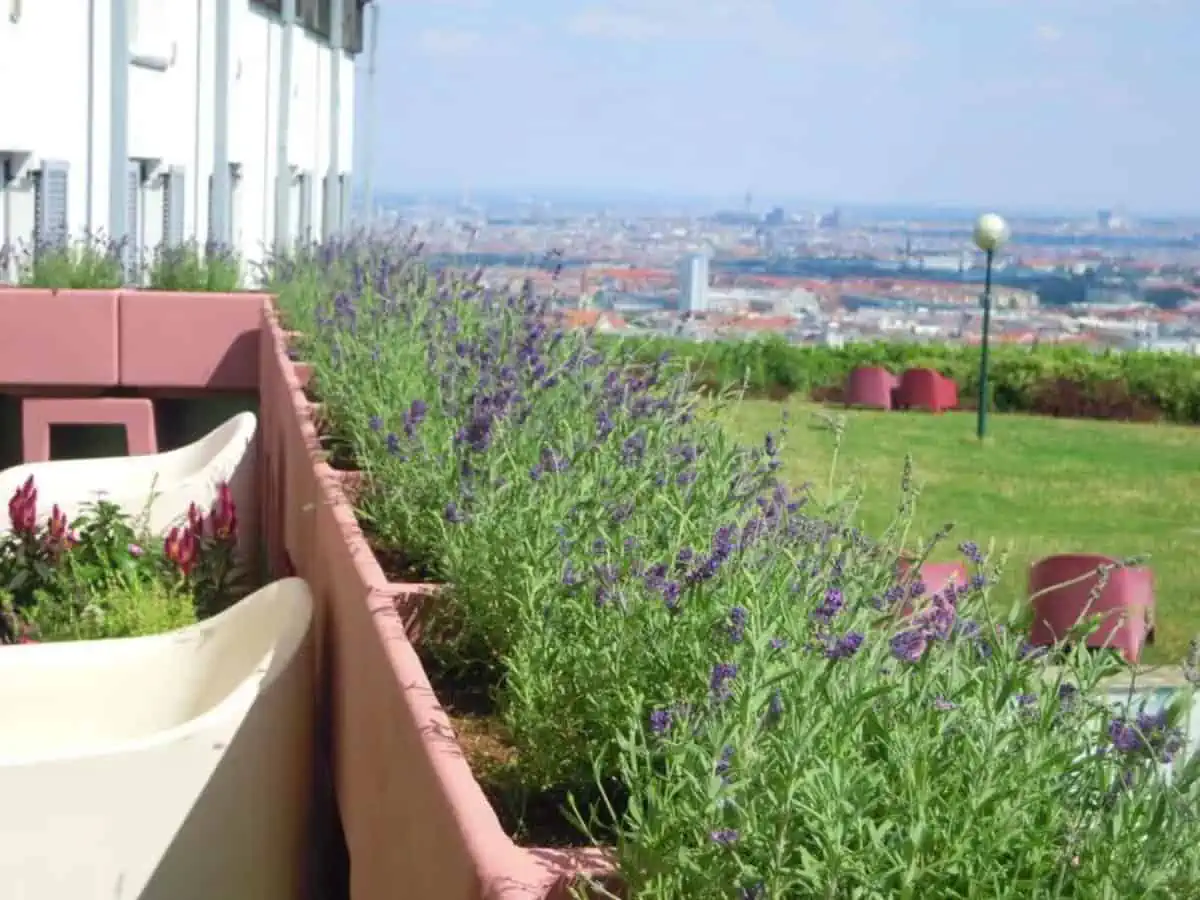 Palace-Hostel-Schlossherberge