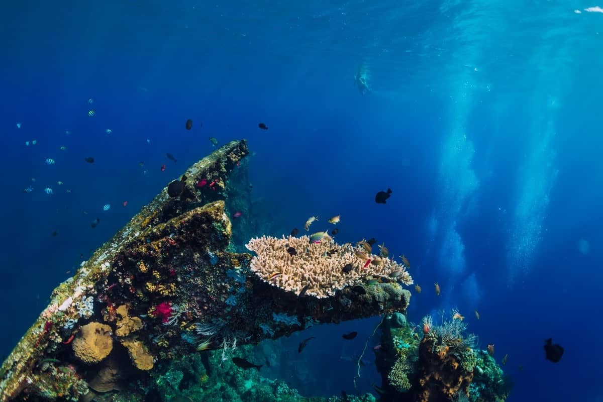 Dive-to-an-Authentic-WWII-Shipwreck
