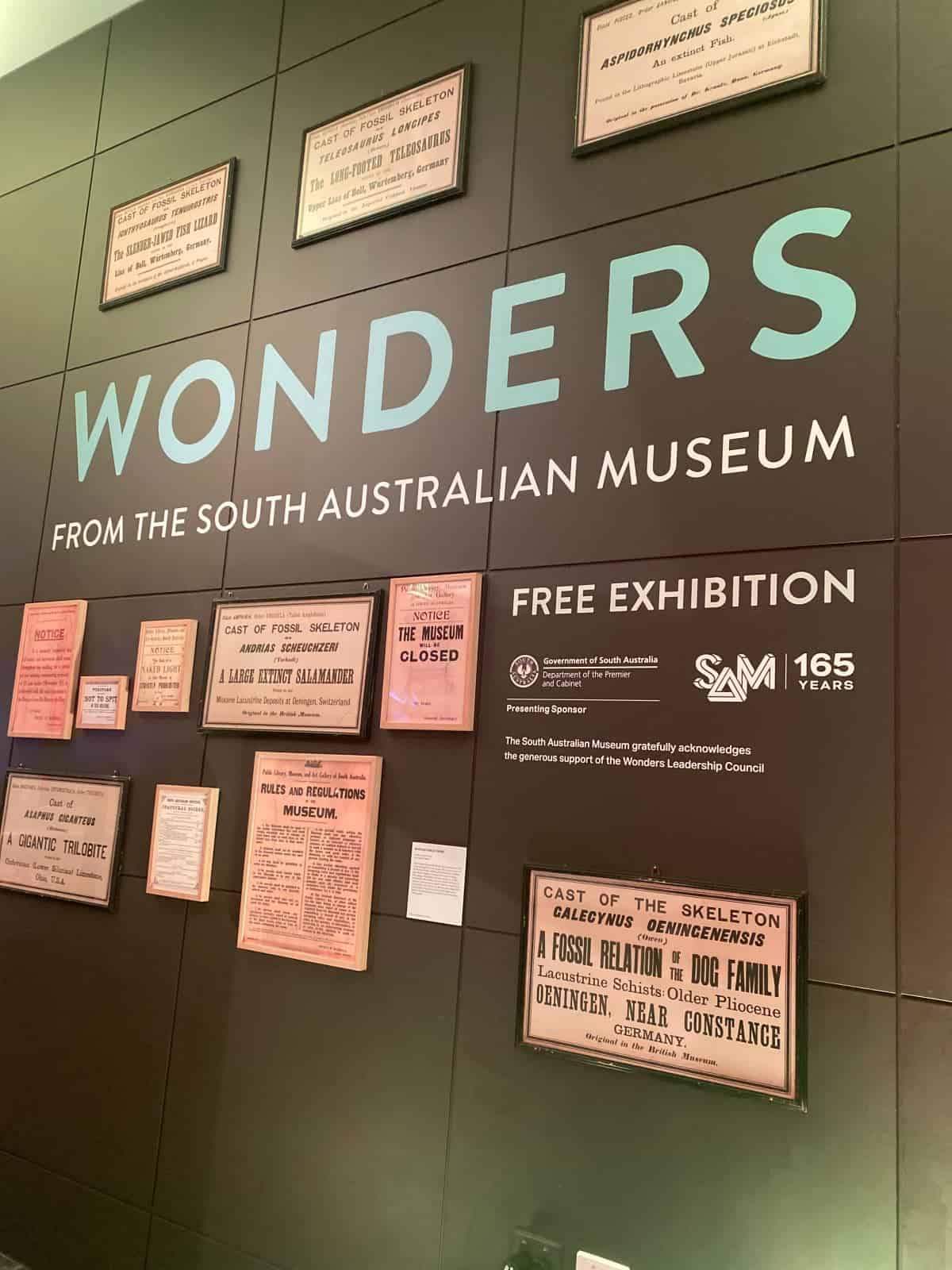 Exhibit-at-the-South-Australian-Museum