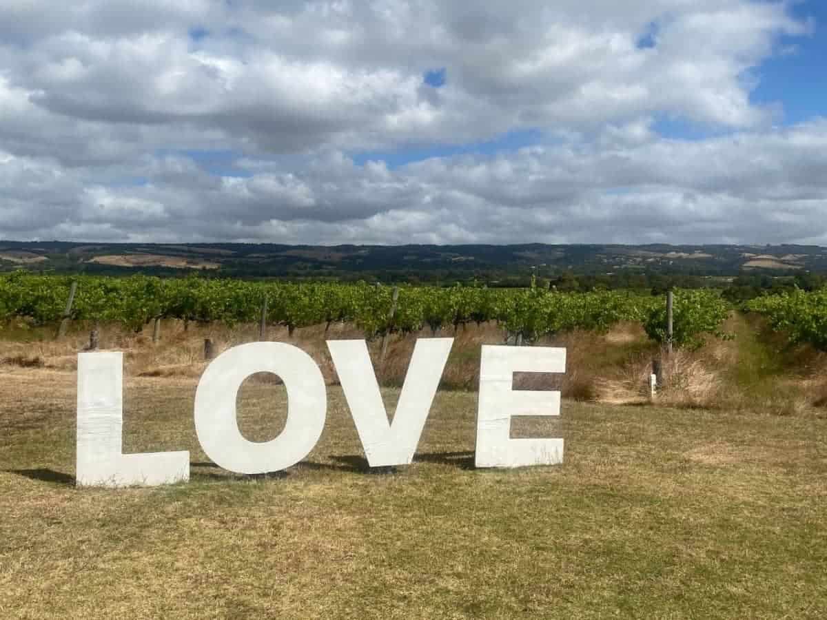The 7 Best Day Trips From Adelaide, Australia (2025 Guide) 10 McLaren-Vale