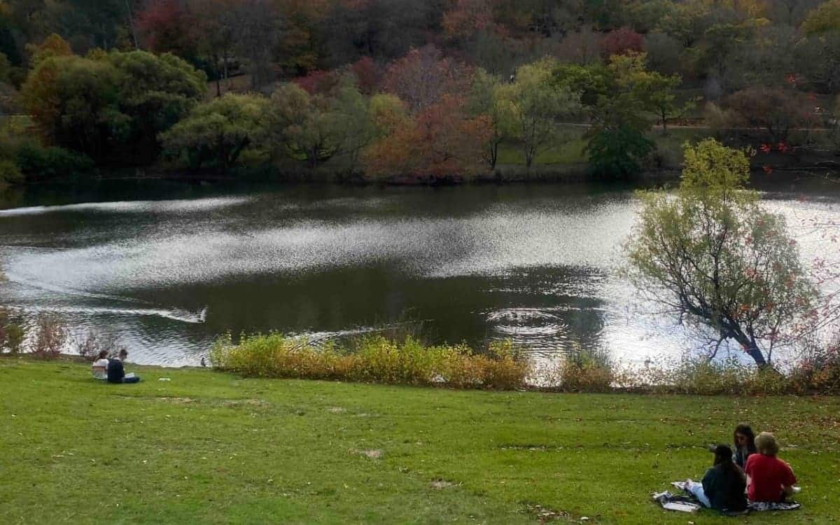 Mount-Lofty-Botanic-Gardens-in-Autumn