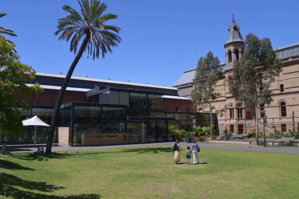 The-South-Australian-Museum