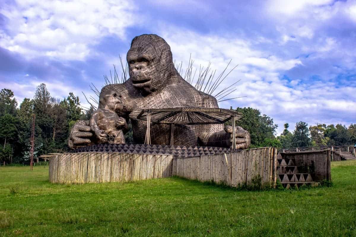 Gorilla-Tracking-in-Volcanoes-National-Park-Rwanda
