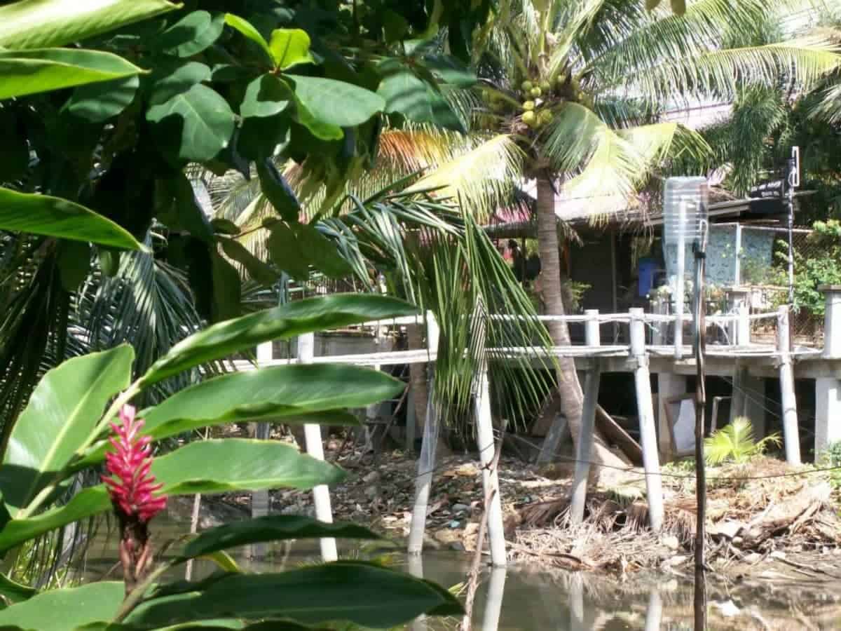 Northern-Thailand-and-Jungle