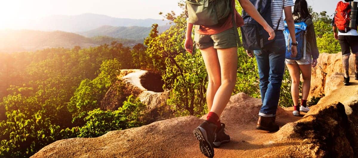 Sustainable Travel Statistics - Facts and Trends in 2025 16 Best-Friends-Trekking-Together
