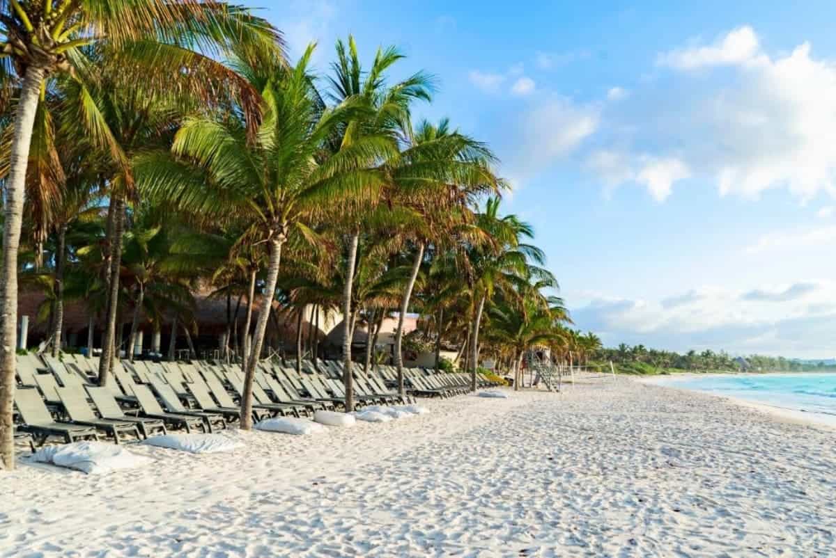 10 Incredible All Inclusive Adults Only Resorts in Tulum (2025 Guide) 15 Catalonia-Royal-Tulum-Beach-&-Spa-Resort