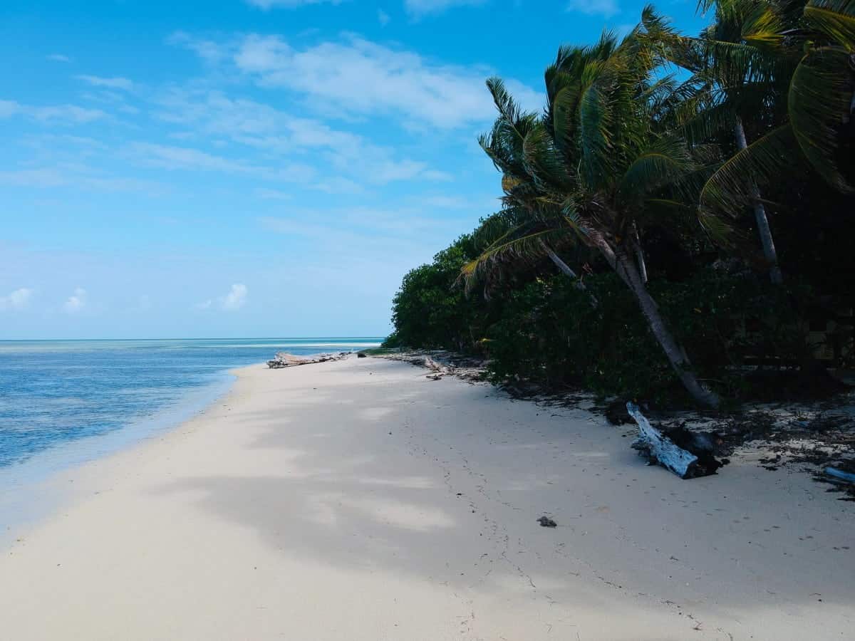 Bali vs Fiji: An Honest Comparison in 2025 31 Leleuvia-Island-Fiji