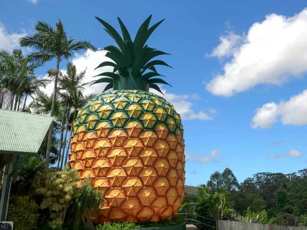 30 Famous Australian Landmarks Not To Miss (Updated 2025) 21 The-Big-Pineapple