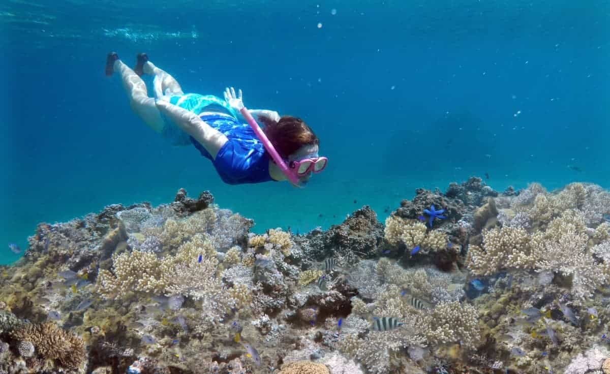 Bali vs Fiji: An Honest Comparison in 2025 22 Woman-Snorkeling-over-Coral-Reef-in-Fiji