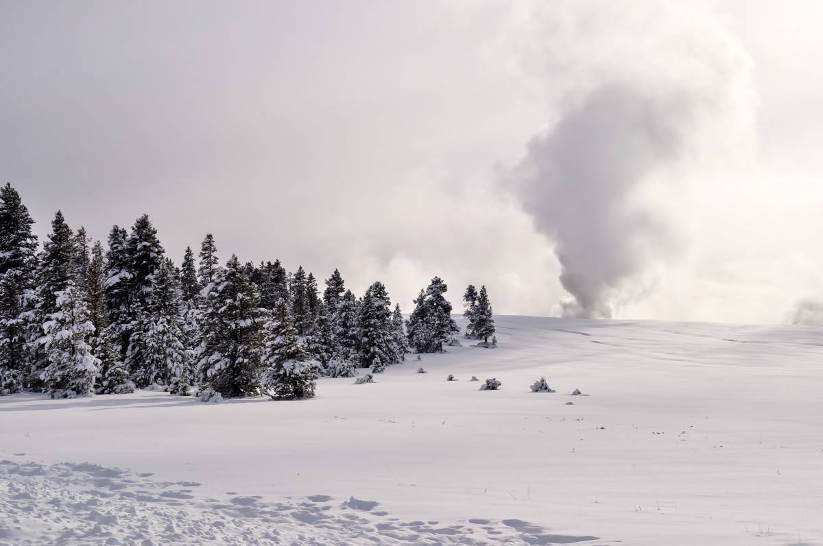 9 Best Snowmobile Tours In Yellowstone - All You Need to Know 21 Yellowstone-National-Park-in-Winter