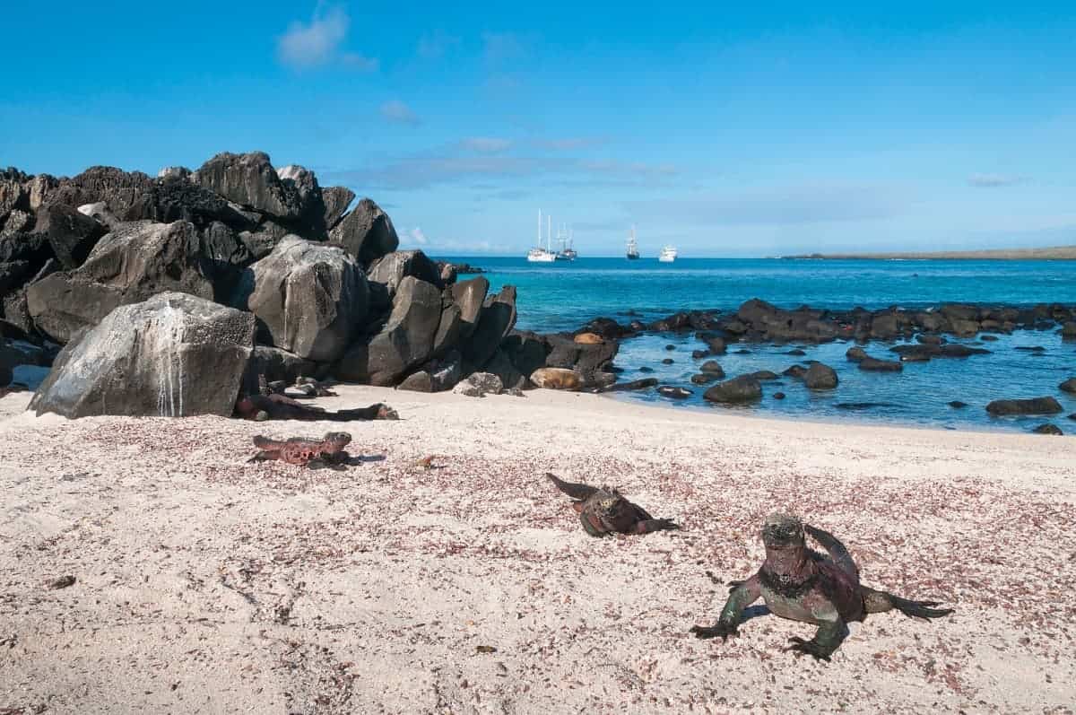 12 Famous Landmarks In Ecuador Not To Miss in 2025 2 Galapagos-Islands