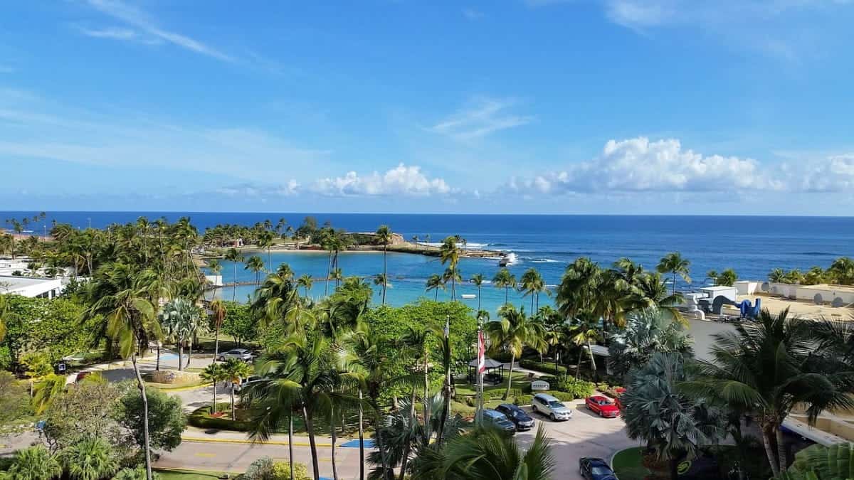 Cars-Parked-Near-Puerto-Rico-Beach
