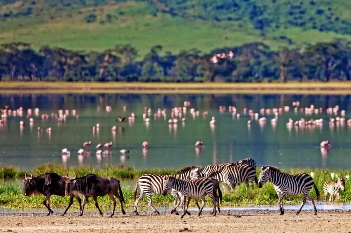 The 13 Safest Countries In Africa in 2025 (RANKED) 14 Ngorongoro-Crater-Lake-Tanzania