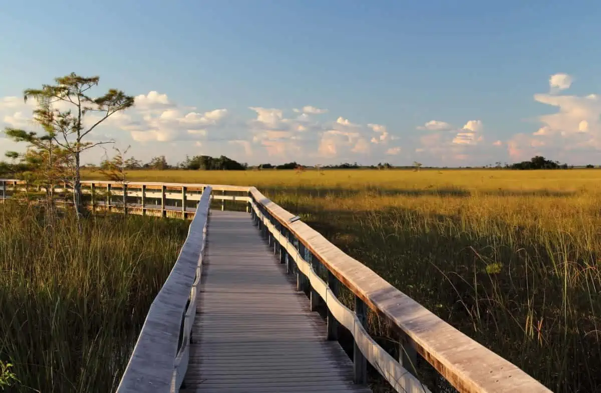 The 18 Pros And Cons Of Living In Florida in 2025 11 The-Pahayokee-Boardwalk