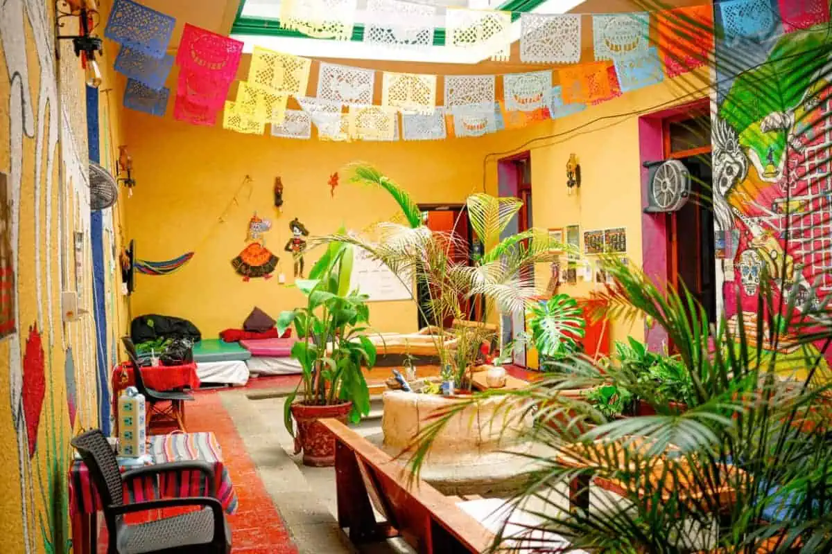 Iguana-Hostel-Oaxaca