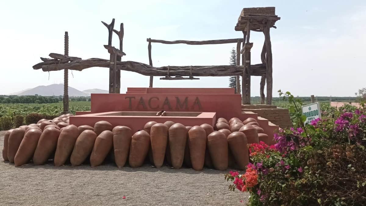 Tacama-Winery-Peru