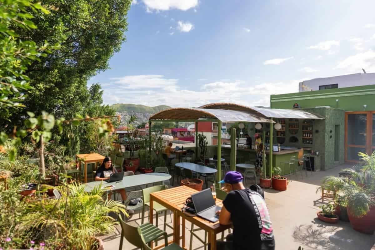 The 15 Best Hostels in Oaxaca, Mexico (2025 Guide) 23 Viajero-Oaxaca-Hostel