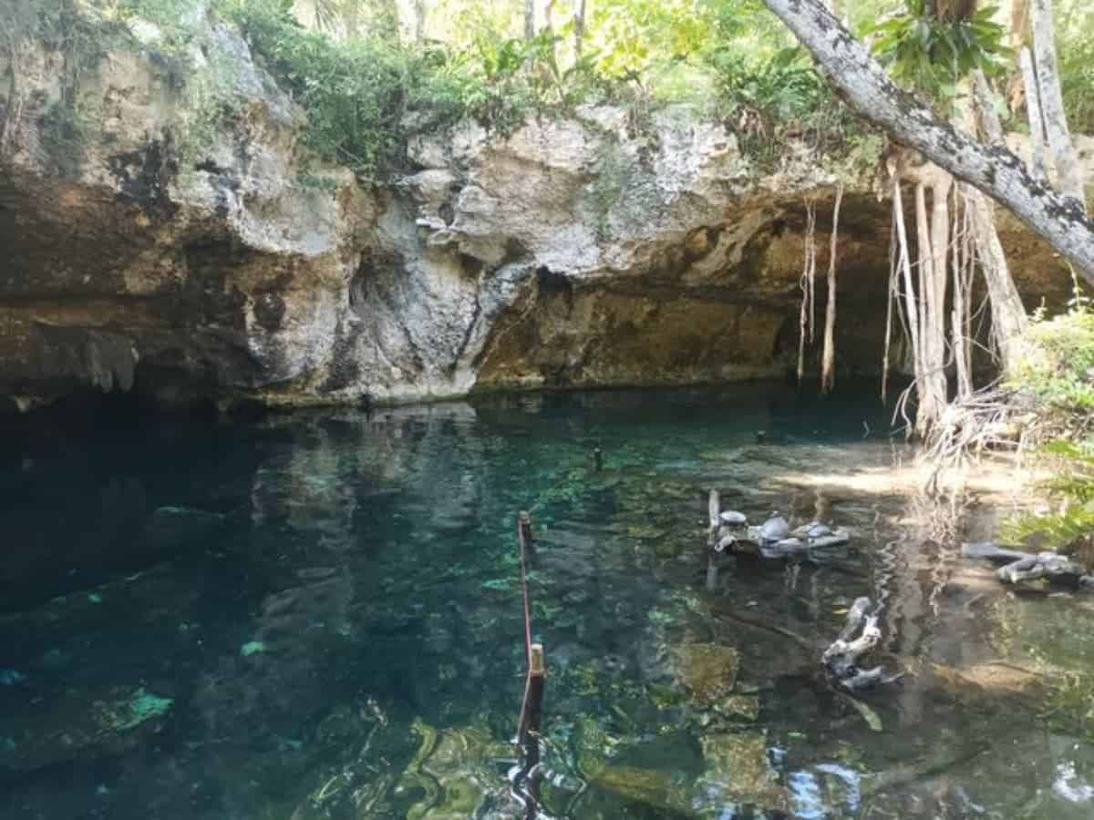 A-Crystal-clear-Form-Natural-Pools-Cancun.