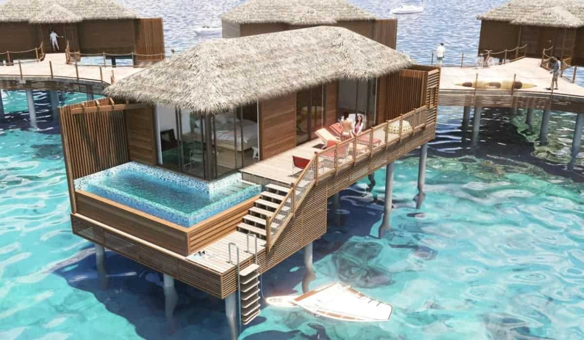 Princess-Senses-The-Mangrove