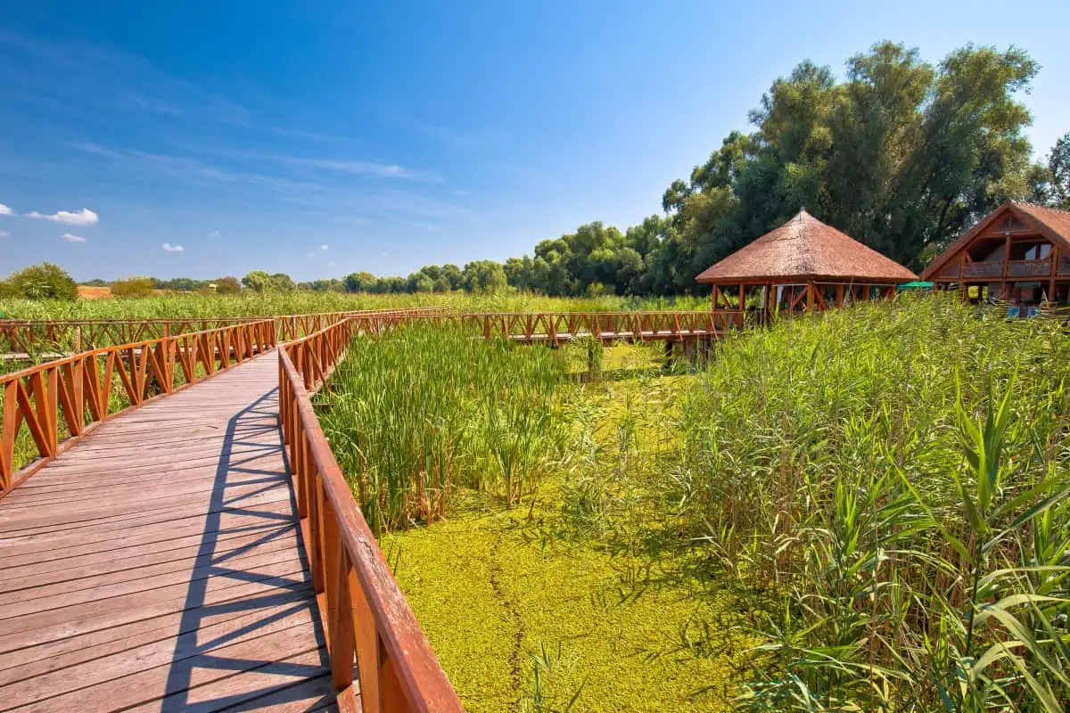 Kopacki-Rit-Marshes-Nature-Park