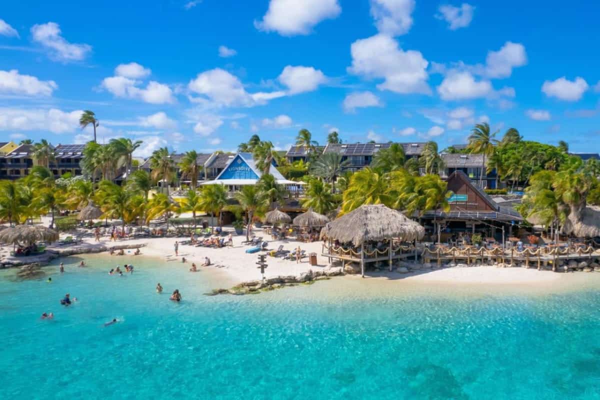 The 17 Best Eco Resorts In The Caribbean - 2025 Travel Guide 33 LionsDive-Beach-Resort